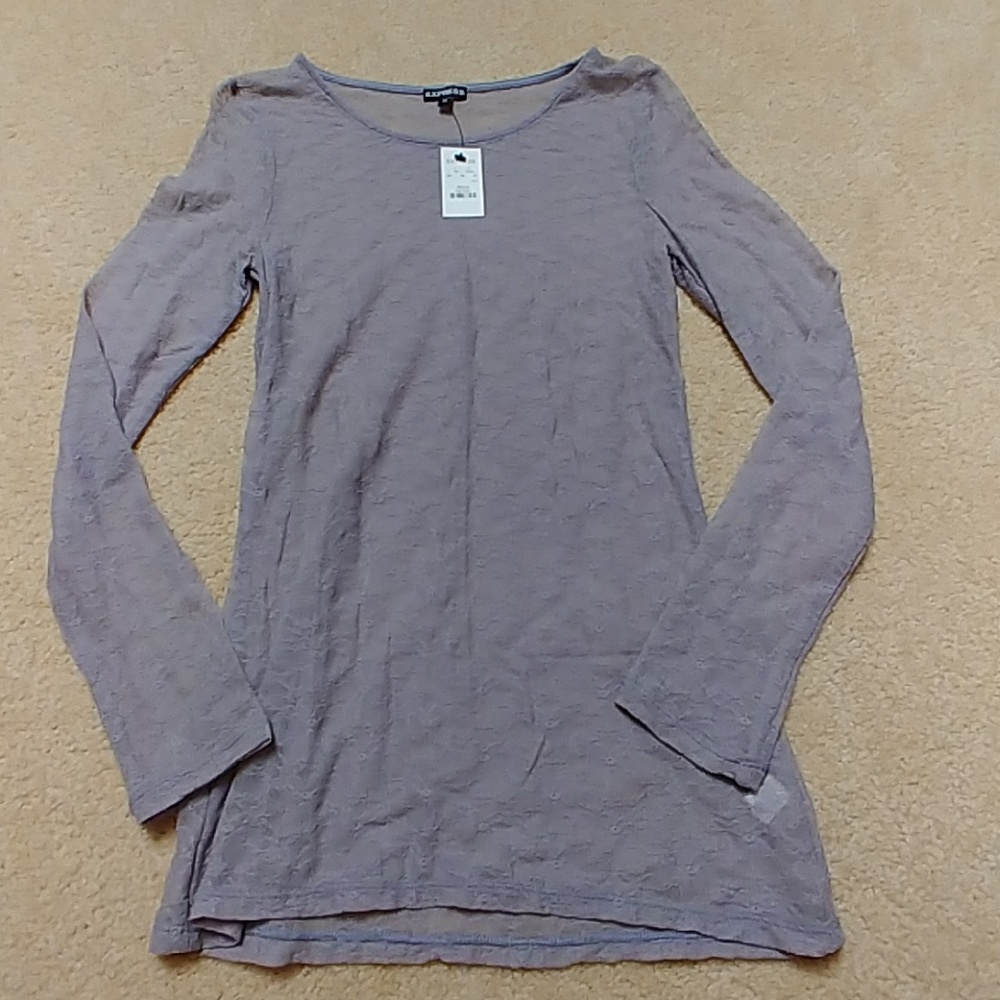 Express Sheer Lace  top.